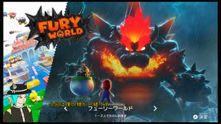 スーパーマリオ3Dワールド+フューリーワールドをプレイしてみた_24