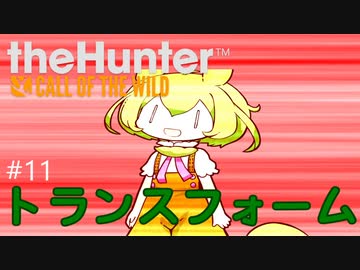 【theHunter: CotW】# 11 漆黒ハンターめたんちゃん【VOICEVOX】
