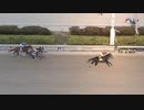 2022 Pegasus World Cup Life is Good