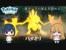 【ゆっくり実況】息抜きに森キングを鎮めに行く！【ポケモンレジェンズアルセウス】