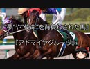 【競馬】ゆっくりさんと未来に語り継ぎたい名馬たち その065【ゆっくり朗読】