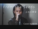 上白石萌音 /『From The Seeds』（リクエスト曲）