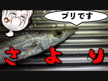 前回と同じ場所で同じ魚を釣って動画にするおじさんを実況する紲星あかり【VOICEROIDフィッシング】