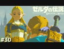 ガーディアンでも空気は読む【ゼルダの伝説 ブレス オブ ザ ワイルド㉚】