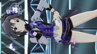 Shamrock Vivace　菊地真