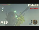 フロドラの角をつつきに行く【ゼルダの伝説 ブレスオブザワイルド マスターモード】#29