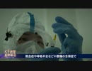 ワクチンとロックダウンで多数死亡