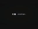 月陽-ツキアカリ-　歌ってみた　UR。