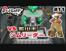 【実況】ホドモエの大富豪ジムリーダー、ヤーコンを潰す【ポケモンbw】#11