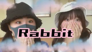 【おひるとみみ】Rabbit ゆるっと踊ってみた