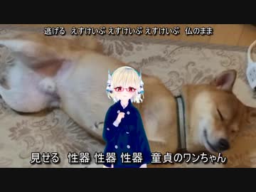 阿修羅ちゃん / Mazo