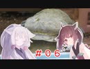 東北姉妹と両爬奇蟲#6 マルメタピオカガエル【マウス給餌】
