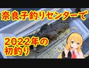 【弦巻マキ実況】奈良子釣りセンターで2022年初釣り【フライフィッシング】