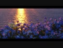 【オリジナル】Nemophila【ピアノ】