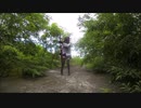 STEVE JONESｰsilly thing  カヴァー