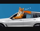 ホモと見るBMW広告