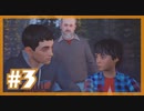 私がこの兄弟の未来をきめる『Life is Strange2』 #3【女性実況】