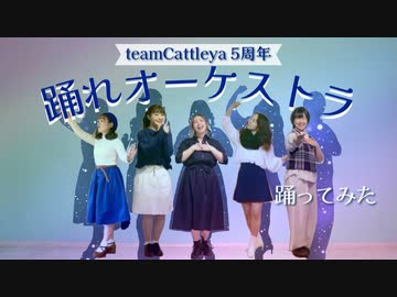 【5周年】踊れオーケストラ 踊ってみた【teamCattleya】