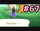 【実況】美味そうな住人しか住めナイ島を作ろう【あつまれ どうぶつの森】 #67