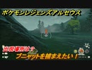 ポケモンレジェンズ アルセウス　ブニャットを捕まえたい！出現場所は？　＃８６【Pokémon LEGENDS アルセウス】