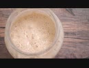 自家製レーズン酵母を使った元種の作り方【天然酵母】【発酵】【dough starter】