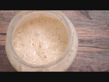自家製レーズン酵母を使った元種の作り方【天然酵母】【発酵】【dough starter】
