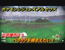 ポケモンレジェンズ アルセウス　ペラップを捕まえたい！出現場所は？　＃９０【Pokémon LEGENDS アルセウス】
