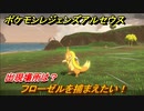 ポケモンレジェンズ アルセウス　フローゼルを捕まえたい！出現場所は？　＃９３【Pokémon LEGENDS アルセウス】