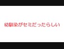 SS:【VIP】幼馴染がセミだったらしい@5ch(旧2ch)2007年のスレ