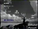 東レ 風を集めてレーヨン