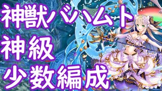 神獣バハムト降臨神級少数編成【千年戦争アイギス】