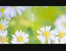 【Rana】花嫁【カバー】