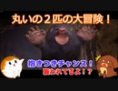 丸いの２匹の大冒険！It Takes Two#16
