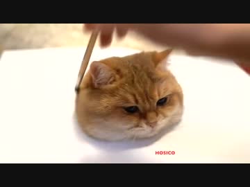 ホモと見る　どう見ても本物にしか見えない猫