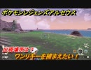 ポケモンレジェンズ アルセウス　ワンリキーを捕まえたい！出現場所は？　＃９５【Pokémon LEGENDS アルセウス】