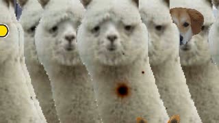 【MUGEN】希望vs絶望 旧章12回リスペクト 隔離への挑戦大会 Part27