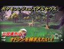 ポケモンレジェンズ アルセウス　オドシシを捕まえたい！出現場所は？　＃９８【Pokémon LEGENDS アルセウス】
