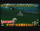 ポケモンレジェンズ アルセウス　サマヨールを捕まえたい！出現場所は？　＃１０３【Pokémon LEGENDS アルセウス】