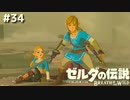 恋の策士【ゼルダの伝説 ブレス オブ ザ ワイルド㉞】