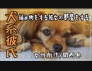 【女性向けボイス】ツンデレ彼女の邪魔は犬系彼氏の得意技【関西弁/ASMR】