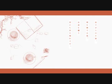 愛猫 / 日和る