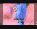 【2人実況】スプラトゥーン2 サーモンランで協力(笑)しなイカ♂ part66
