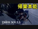 【ダークソウルリマスター】二度目の北の不死院攻略【初見実況】Part25