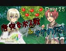【恋&冒険を満喫!】ルーンファクトリー４【初見実況】Part25