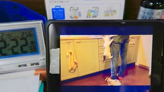 2022年2月2日2時22分22秒に猫の動画を見る動画
