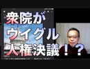 衆院がウイグル人権決議を可決