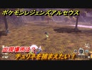ポケモンレジェンズ アルセウス　チュリネを捕まえたい！出現場所は？　＃１２８【Pokémon LEGENDS アルセウス】