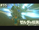 はじめてのがーでぃあんとうばつ【ゼルダの伝説 ブレス オブ ザ ワイルド㉟】