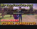 ポケモンレジェンズ アルセウス　ポケモンとの相性診断　サブ任務２８　仲の良さをみせてくれ　＃１３２【Pokémon LEGENDS アルセウス】
