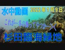 水中動画（2021年1月9日）in 杉田臨海緑地